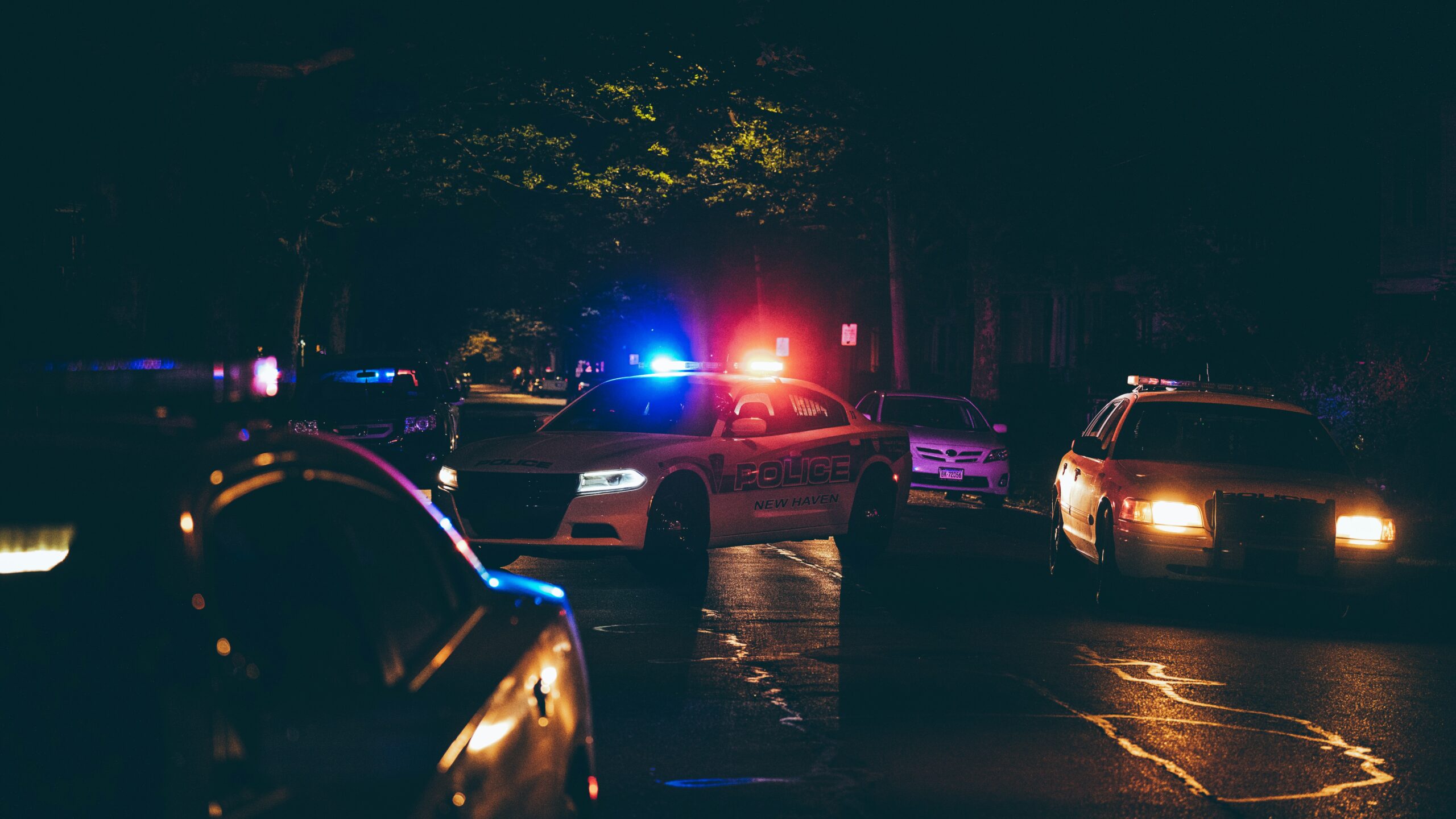 martin-podsiad-wrdtA9lew9E-unsplash